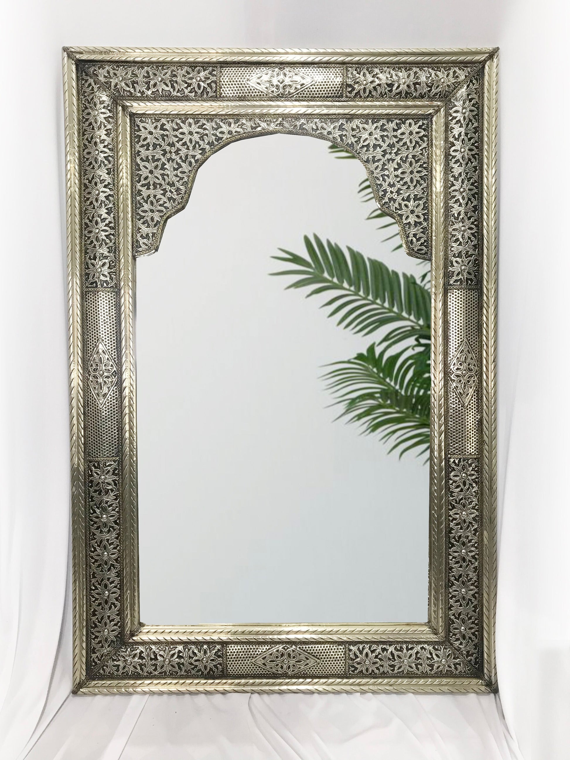 a mirror that has a plant in it