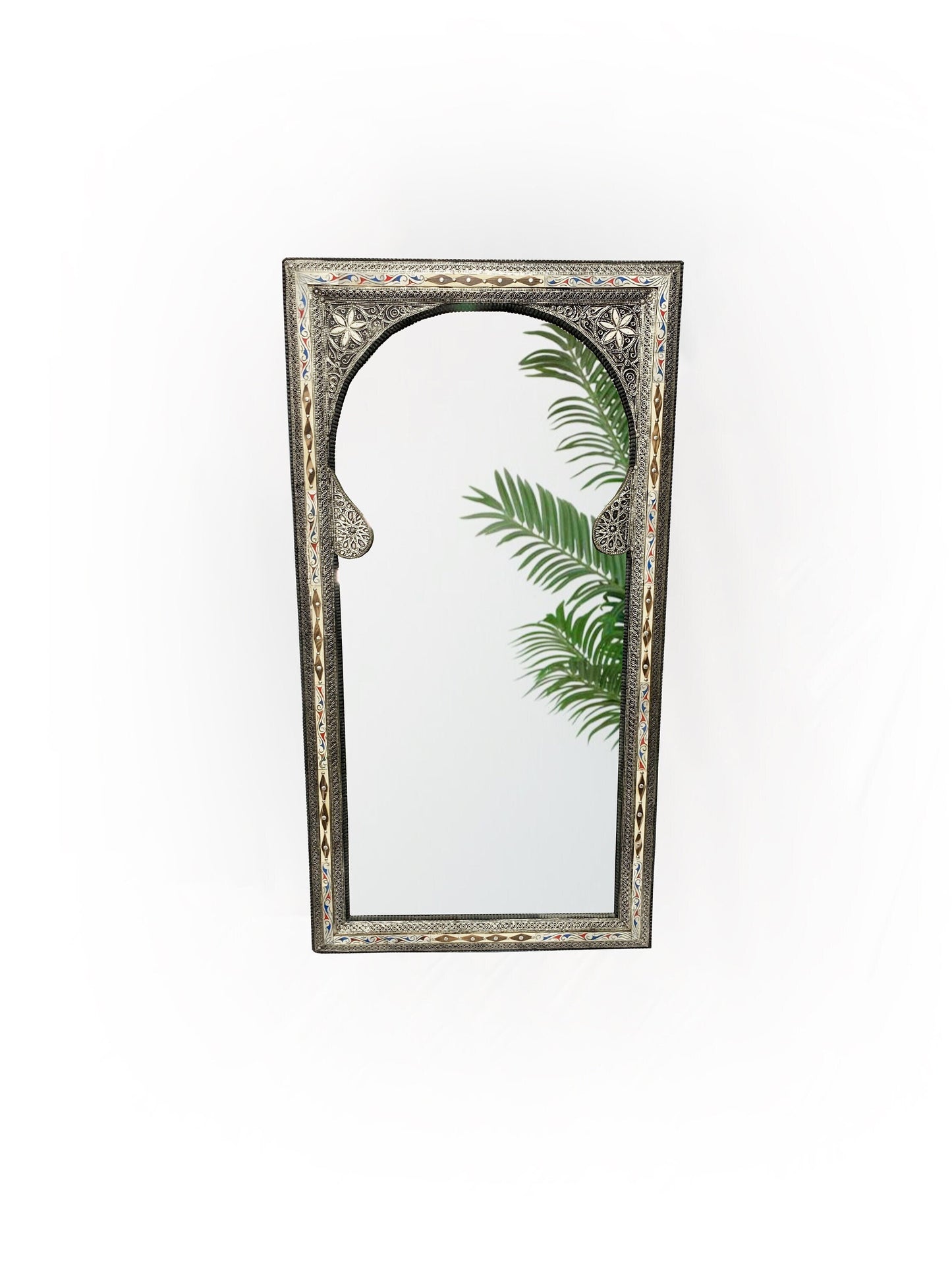 a full length mirror that has a plant in it