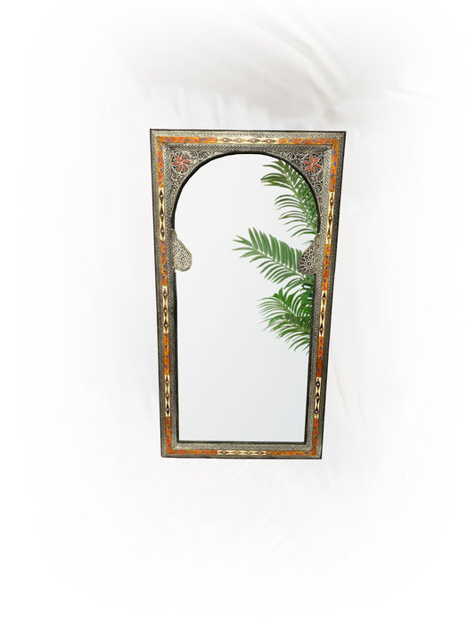 a full length mirror hanging on a wall with a plant in it