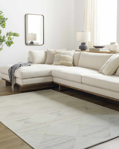 Rakin Area Rug - Soft Stylish Modern Floor Covering