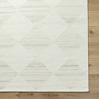 Rakin Area Rug - Soft Stylish Modern Floor Covering