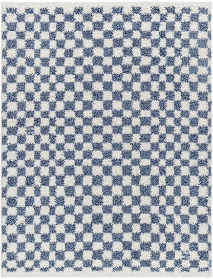 Blue White Checkered Area Rug - Stylish Home Decor Accent