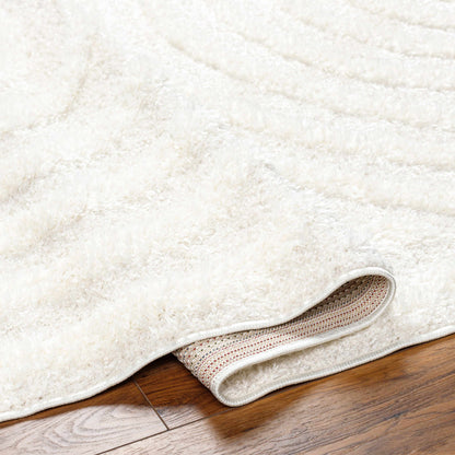 Arnel Cream Area Rug - Soft Elegant Cozy Home Décor