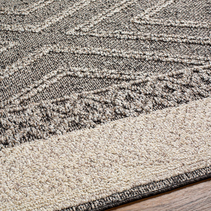 Beige Brown Area Rug - Soft Durable Stylish Home Accent