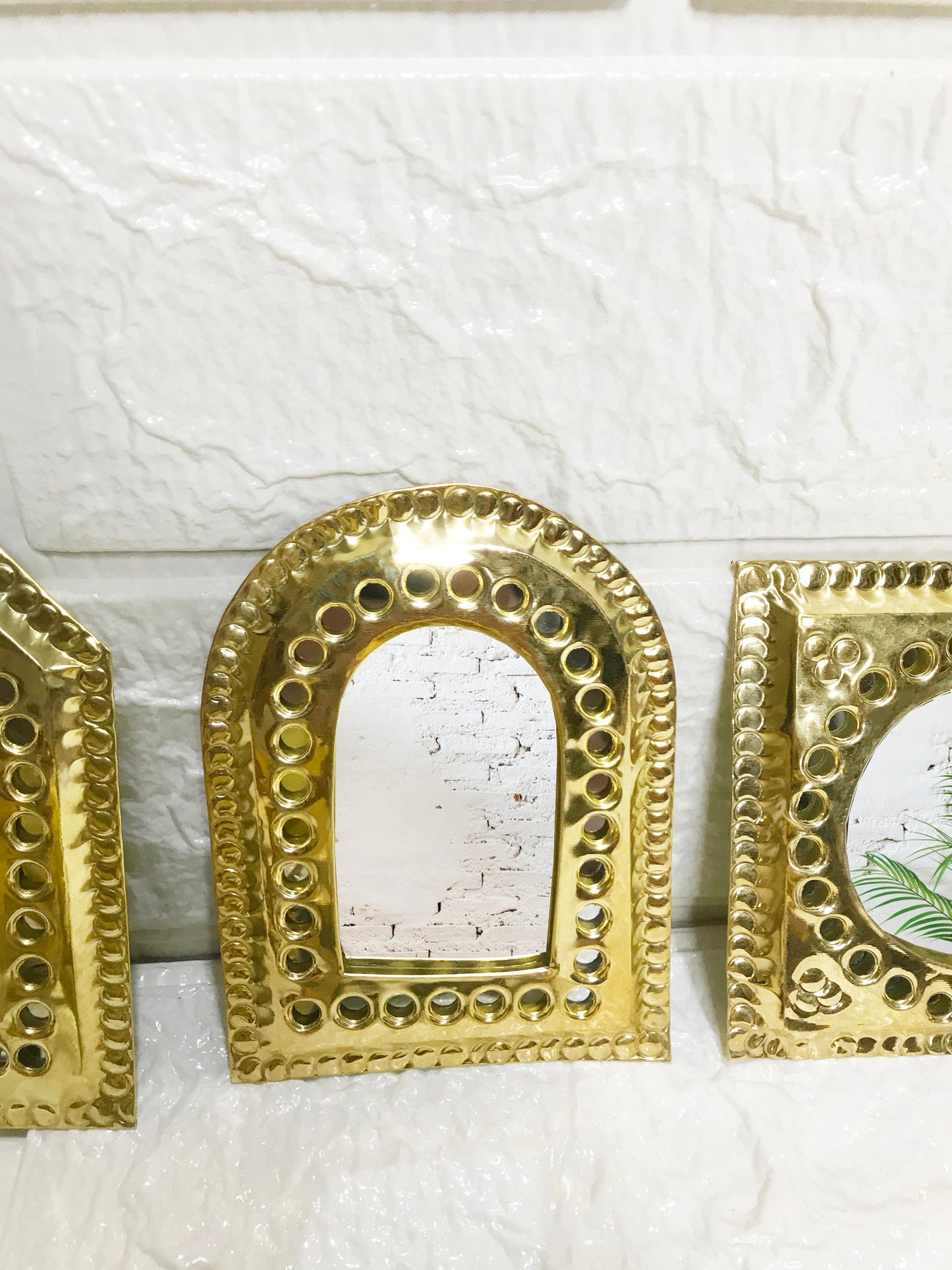 three gold frames with a picture of a plant in them