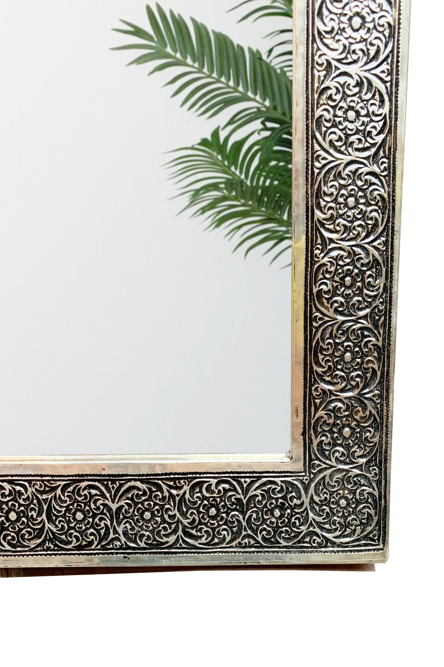 a mirror that has a plant in it