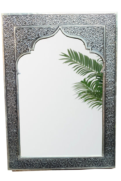 a mirror that has a plant in it