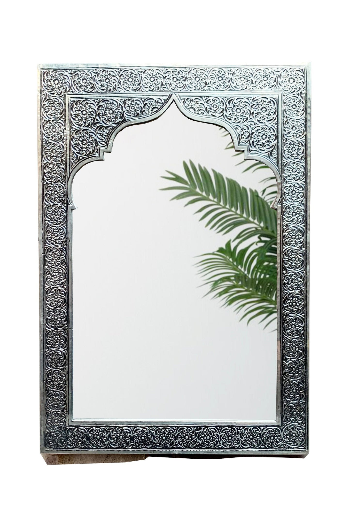 a mirror that has a plant in it