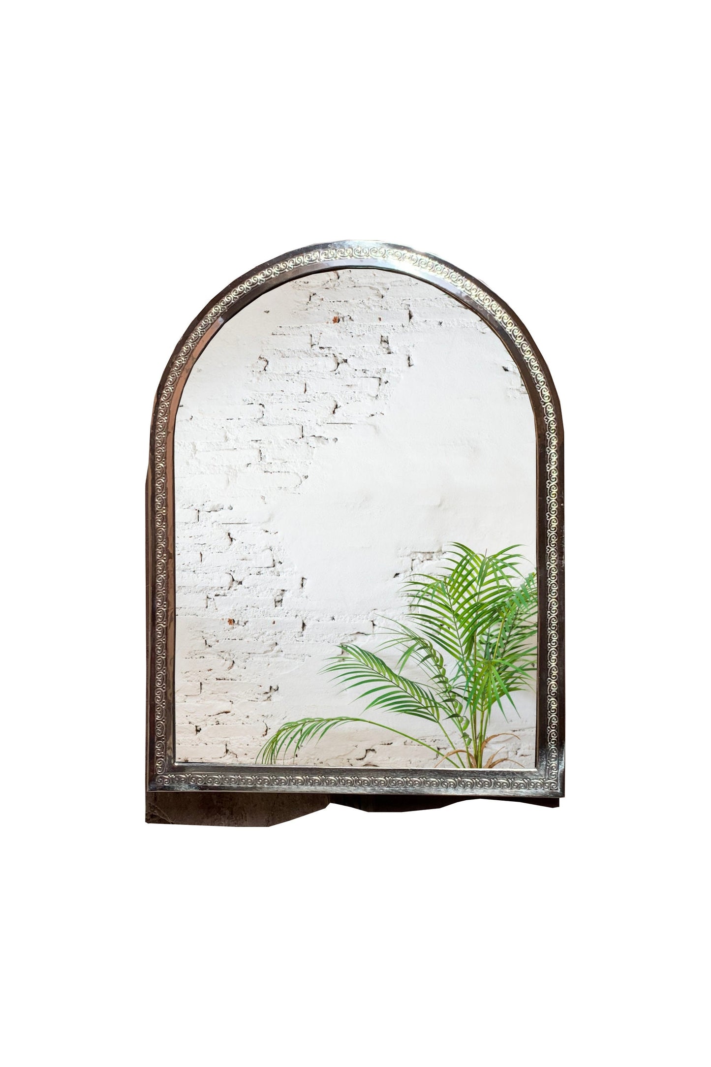 a mirror that has a plant in it