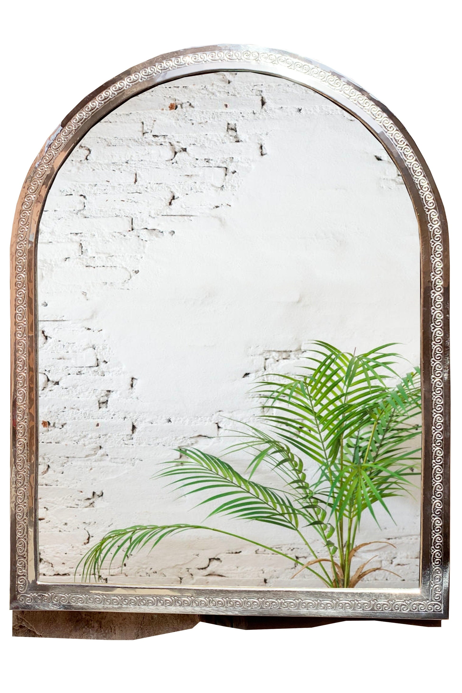 a mirror that has a plant in it