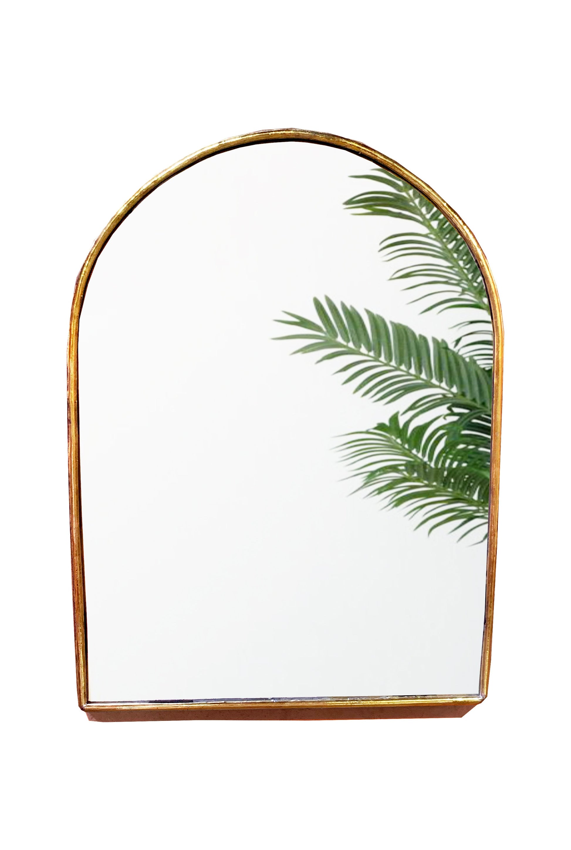 a mirror that has a plant in it