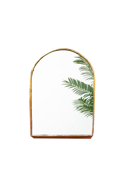 a mirror that has a plant in it