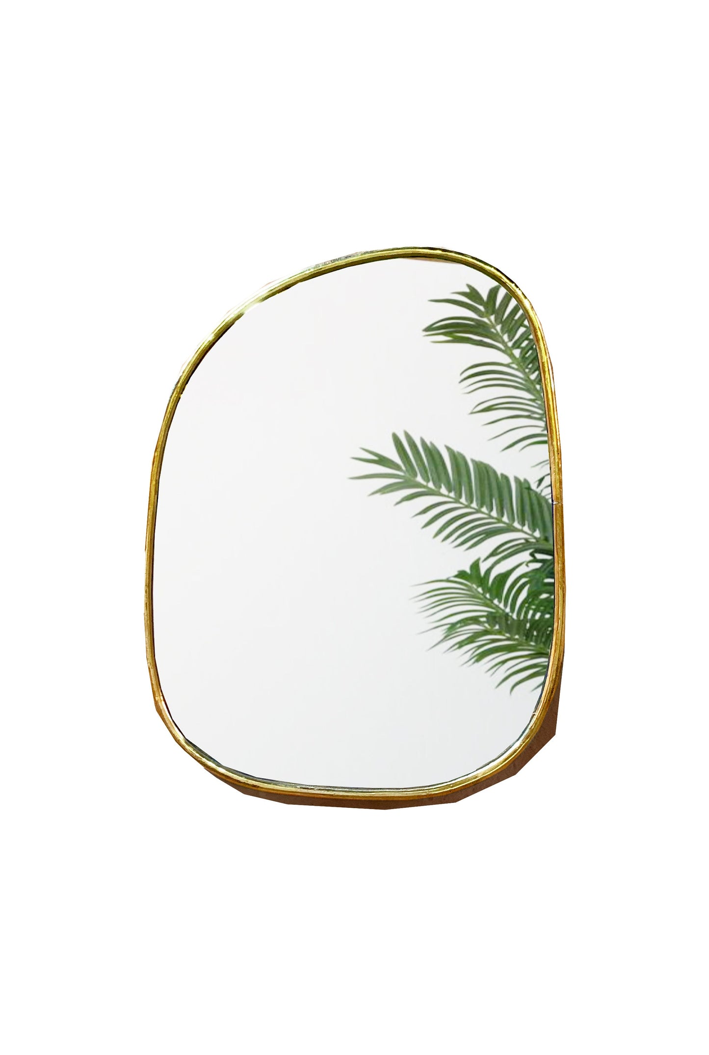 a brass mirror that has a plant in it