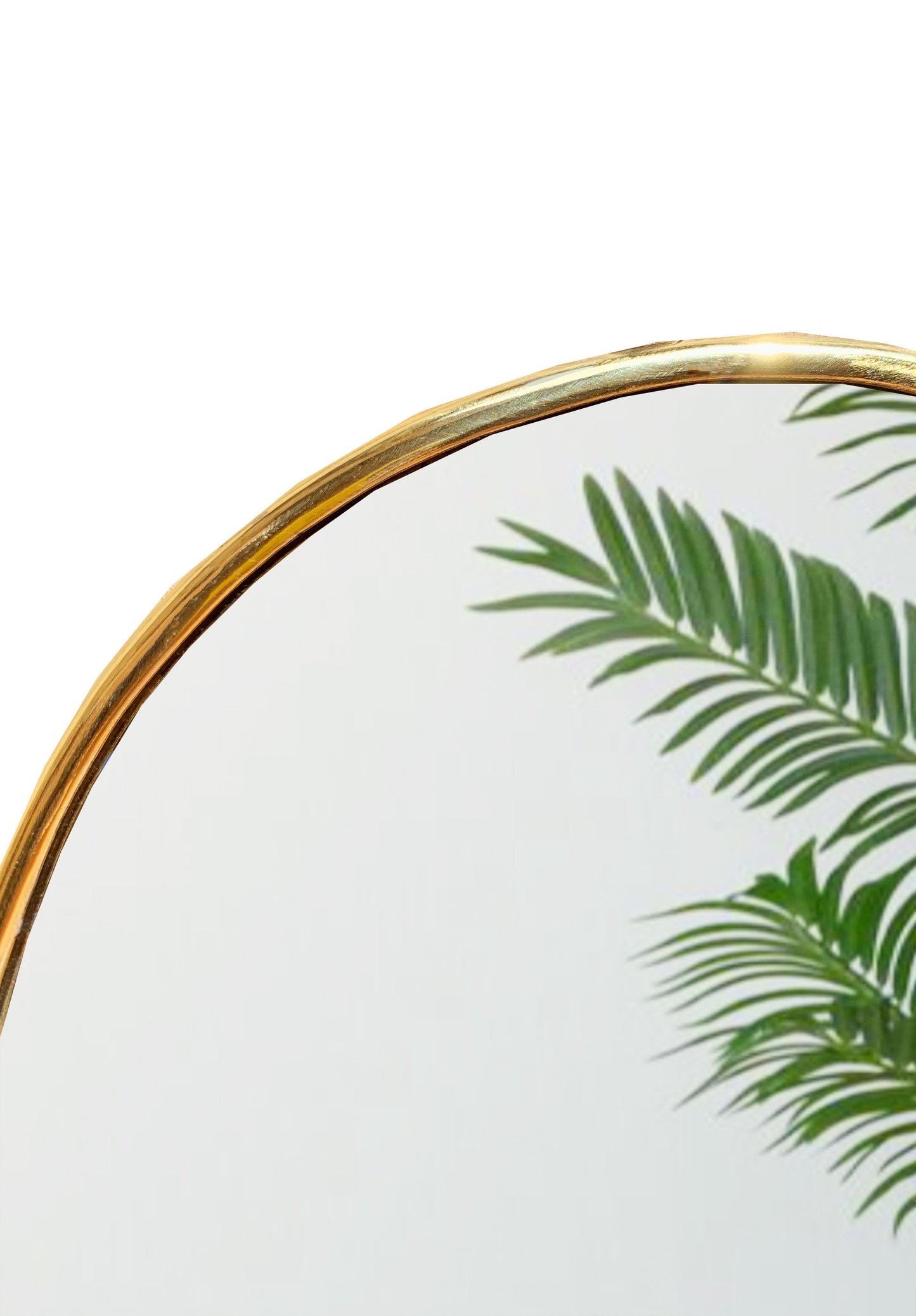 a close up of a mirror with a plant on it