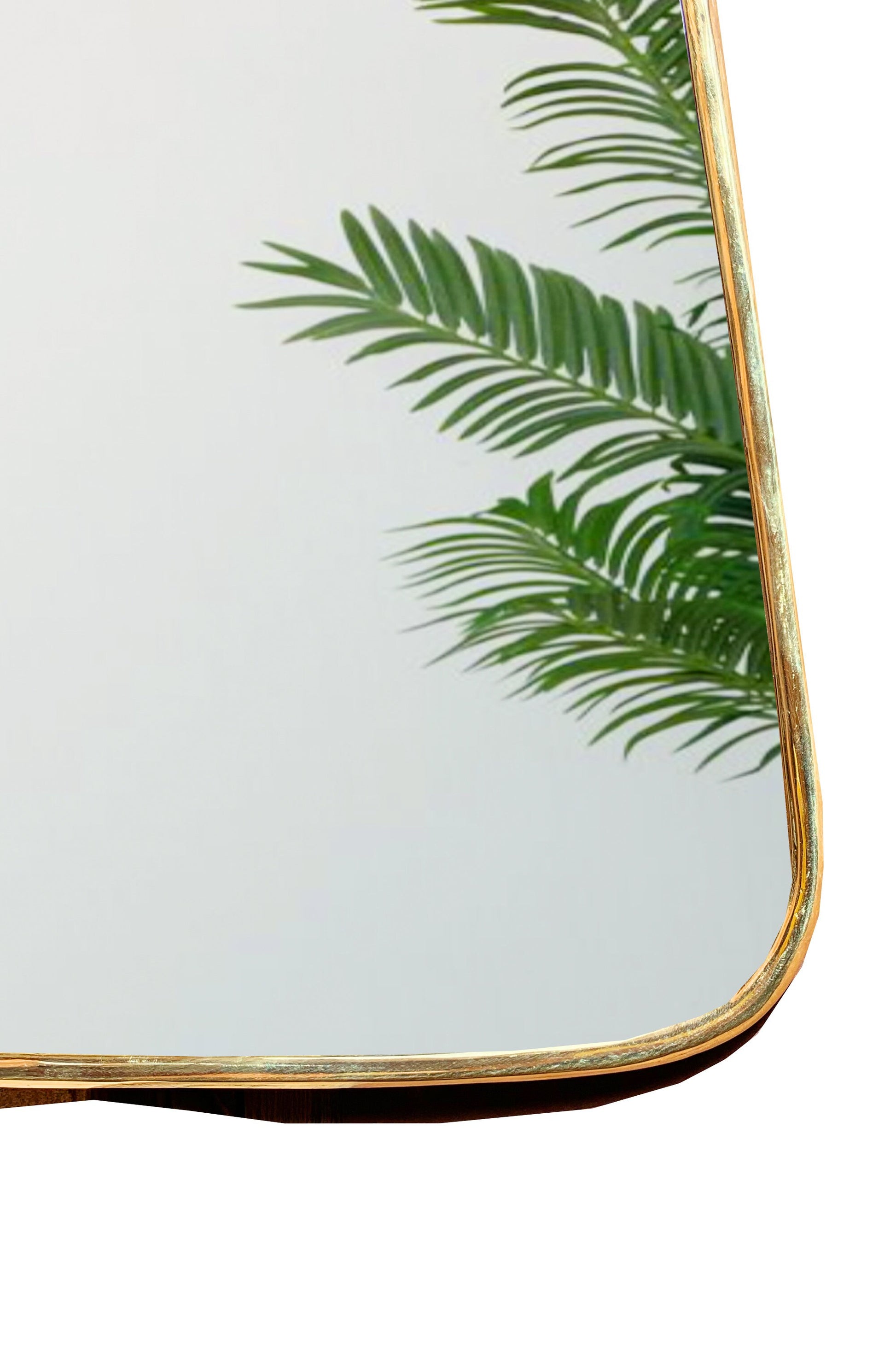 a mirror that has a plant in it