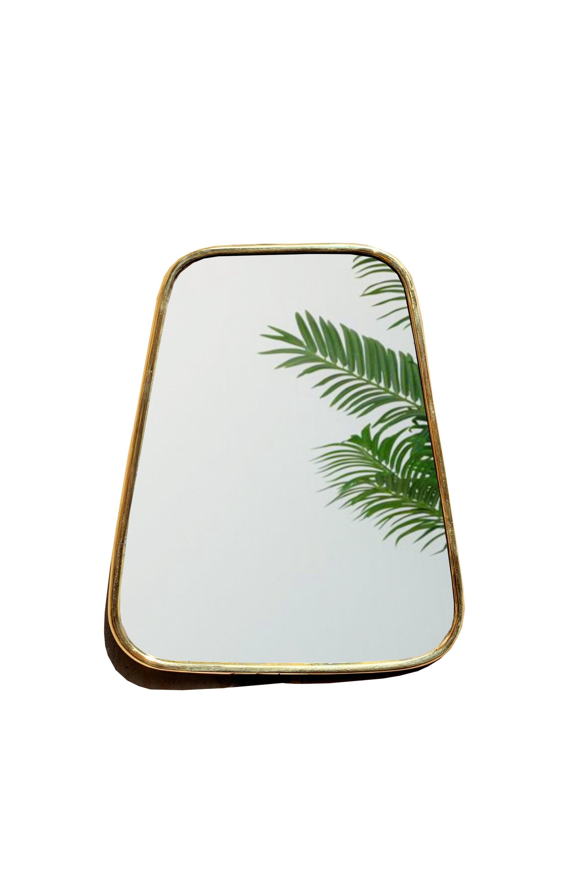 a mirror with a palm leaf on it