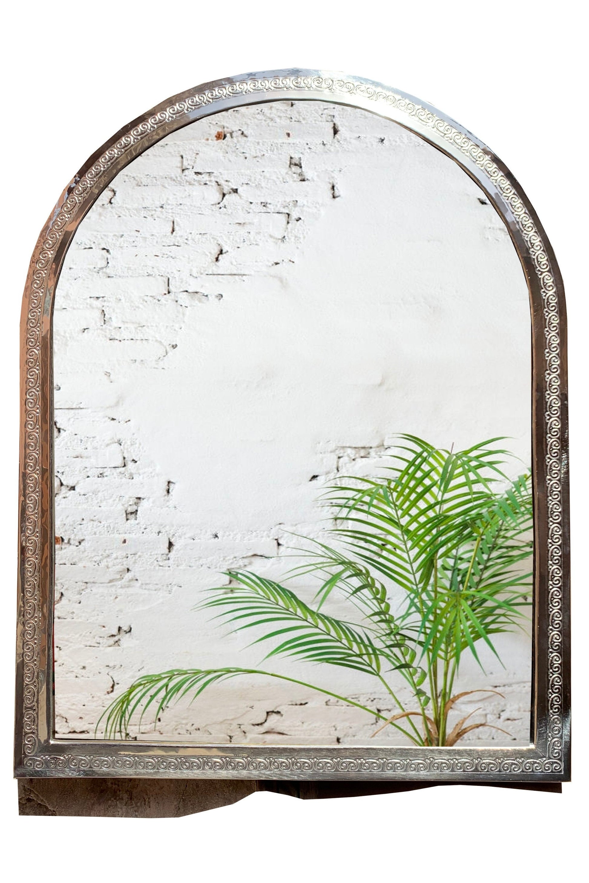 a mirror that has a plant in it