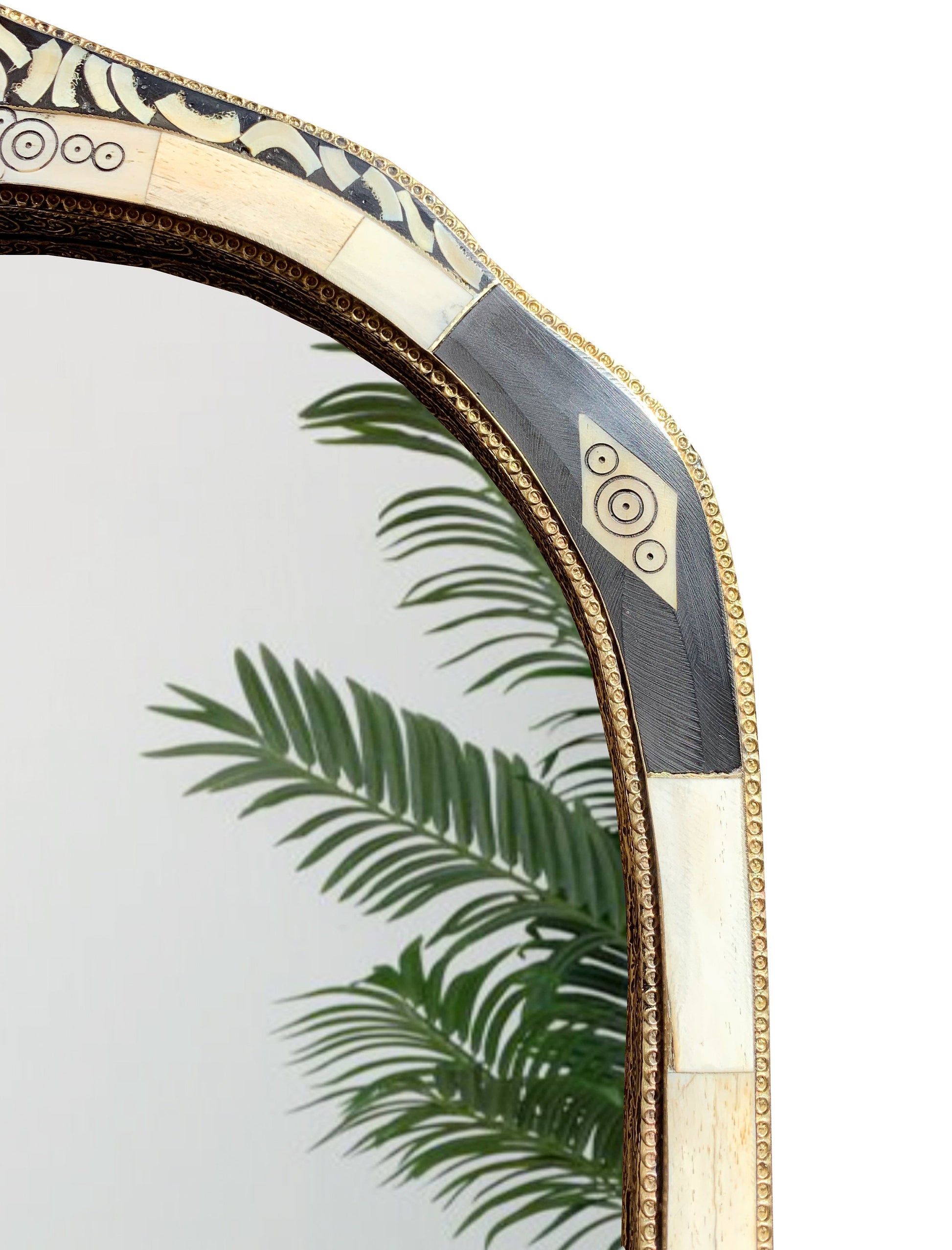 a mirror that has a plant in it