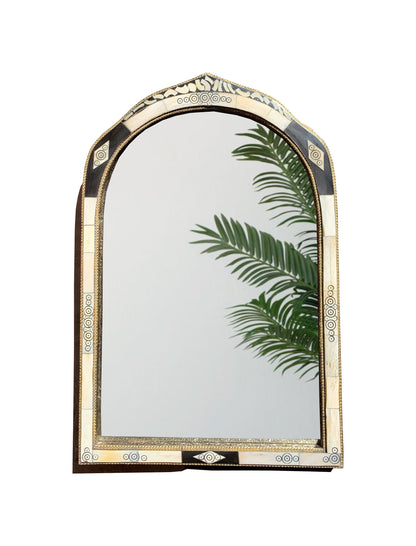 a mirror that has a plant in it