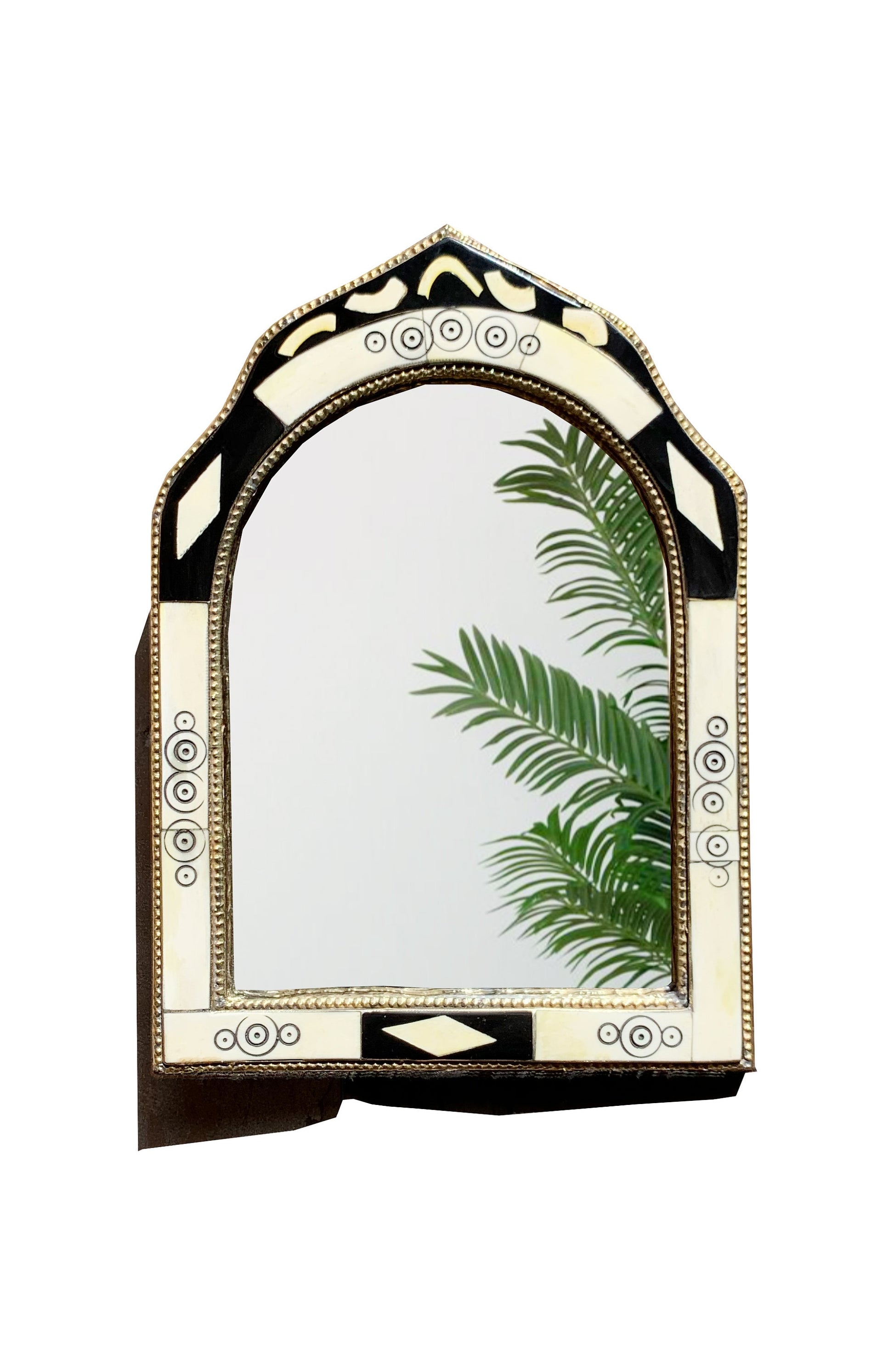 a mirror that has a plant in it