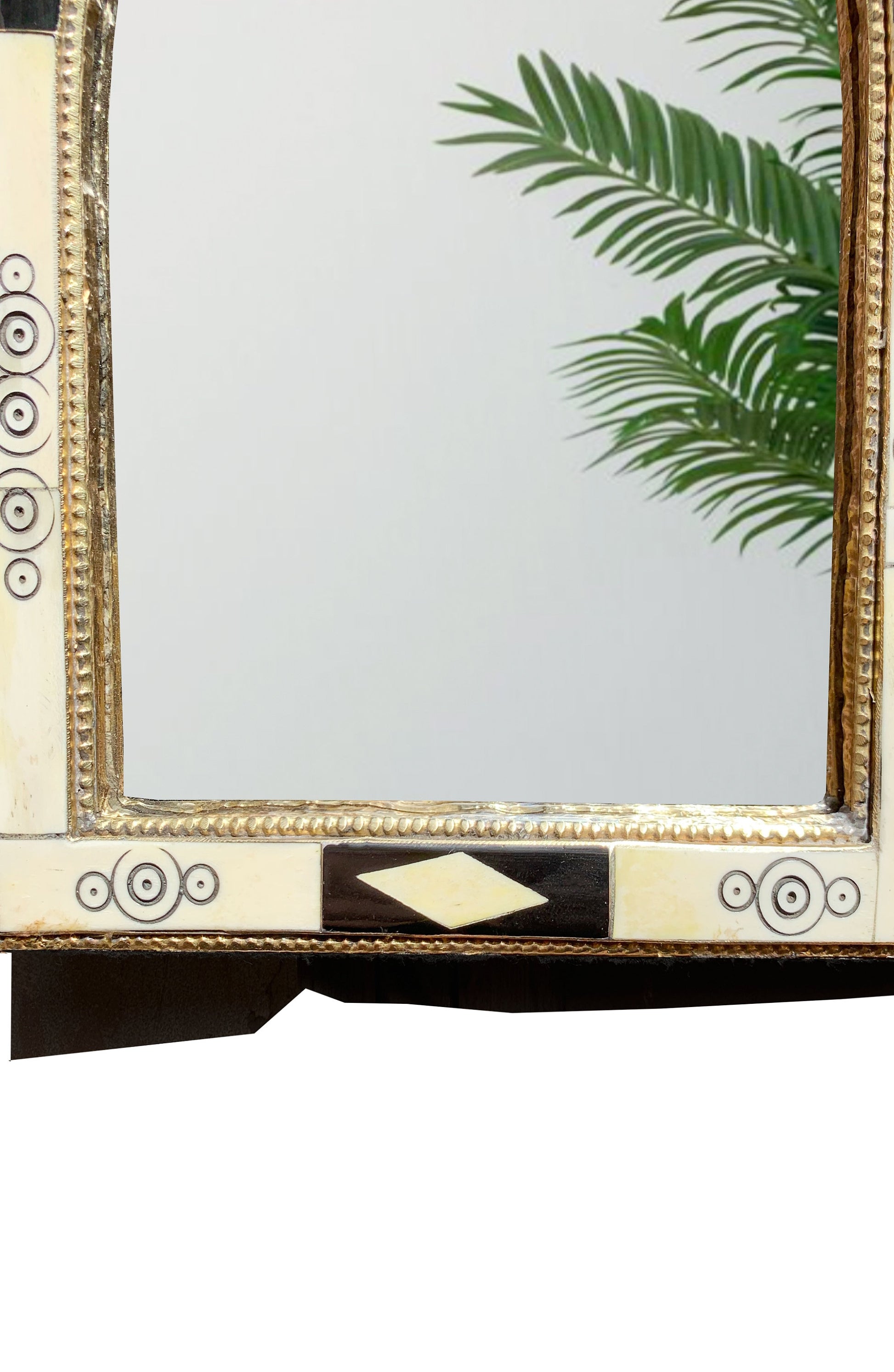 a mirror that has a plant in it