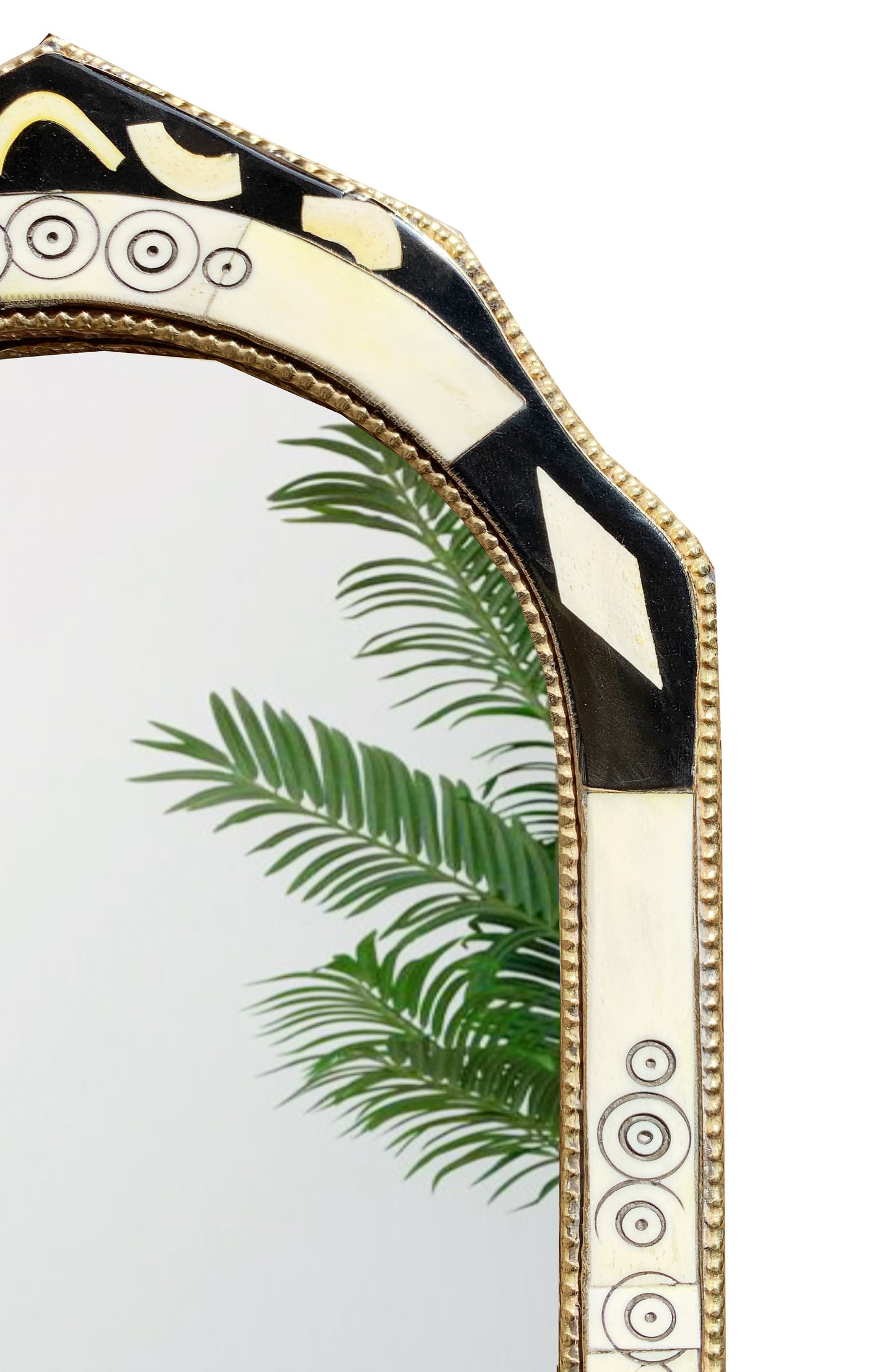 a mirror that has a plant in it