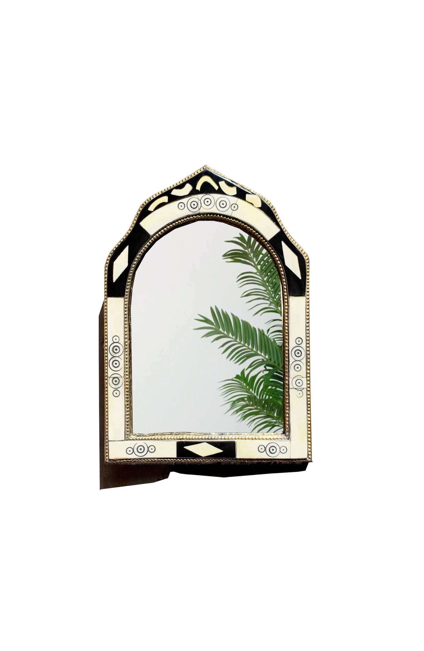 a mirror that has a plant in it