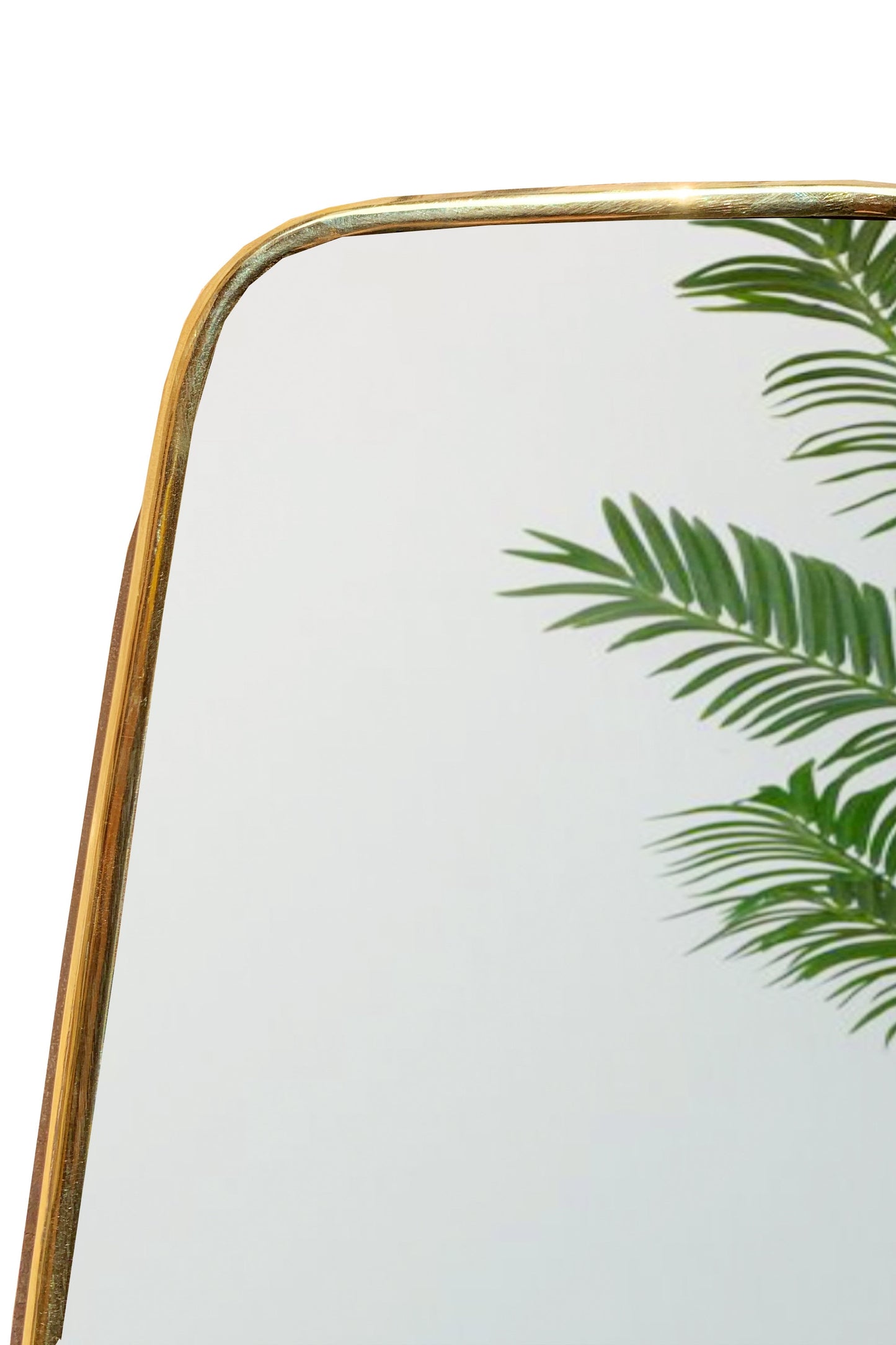 a close up of a mirror with a plant in it