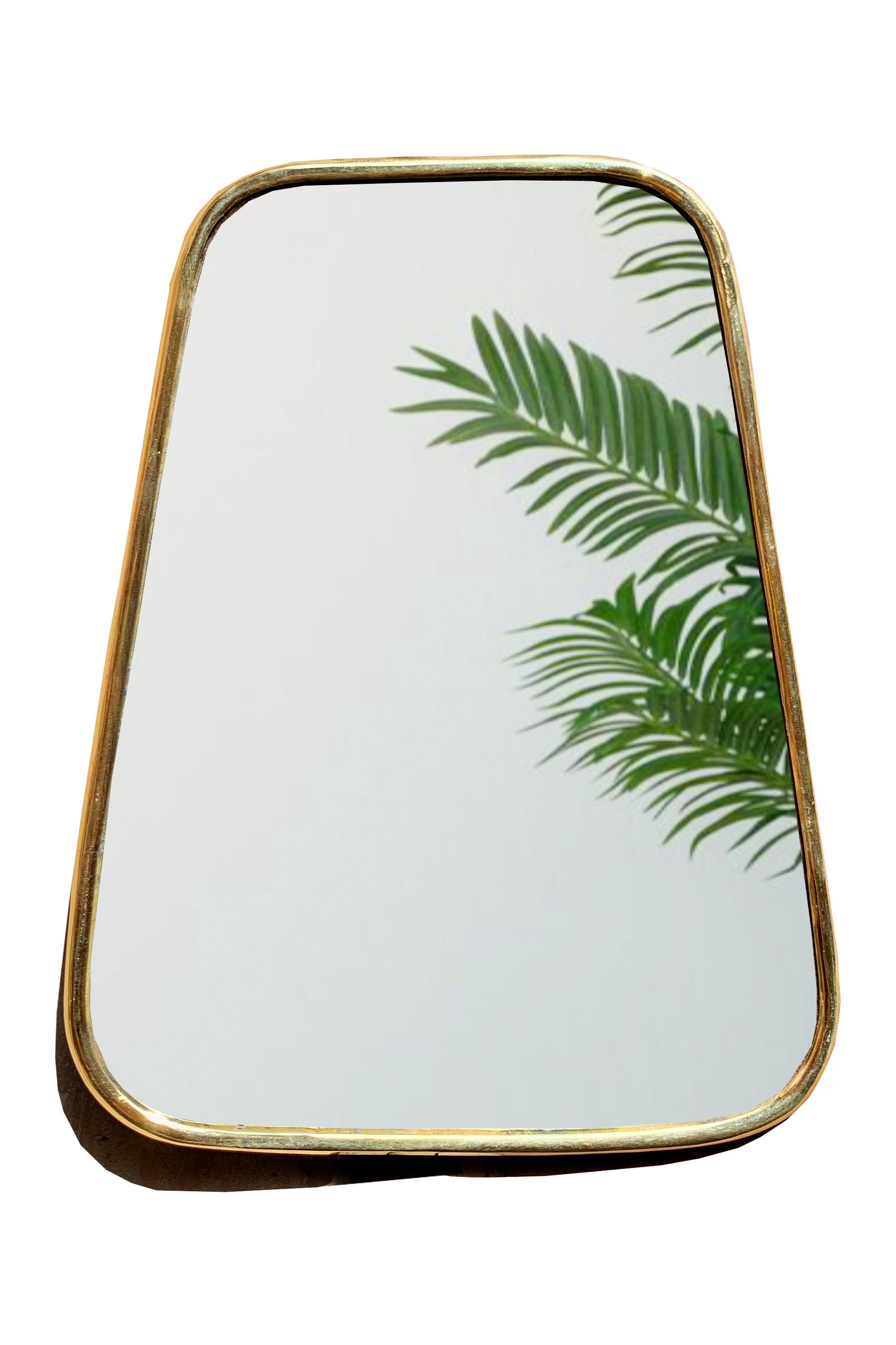 a mirror with a palm leaf on it