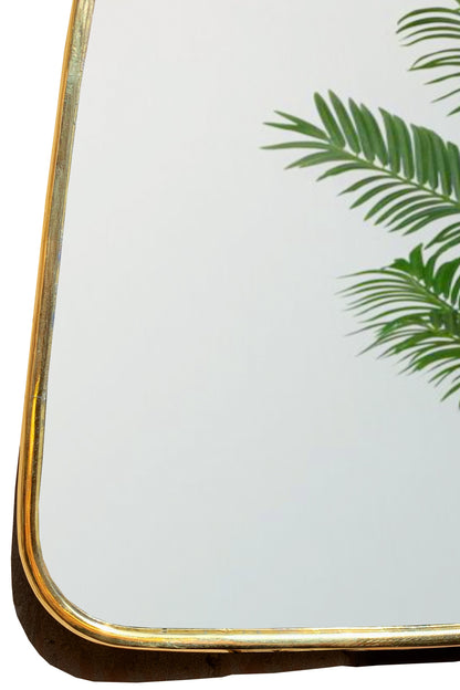 a mirror that has a plant in it