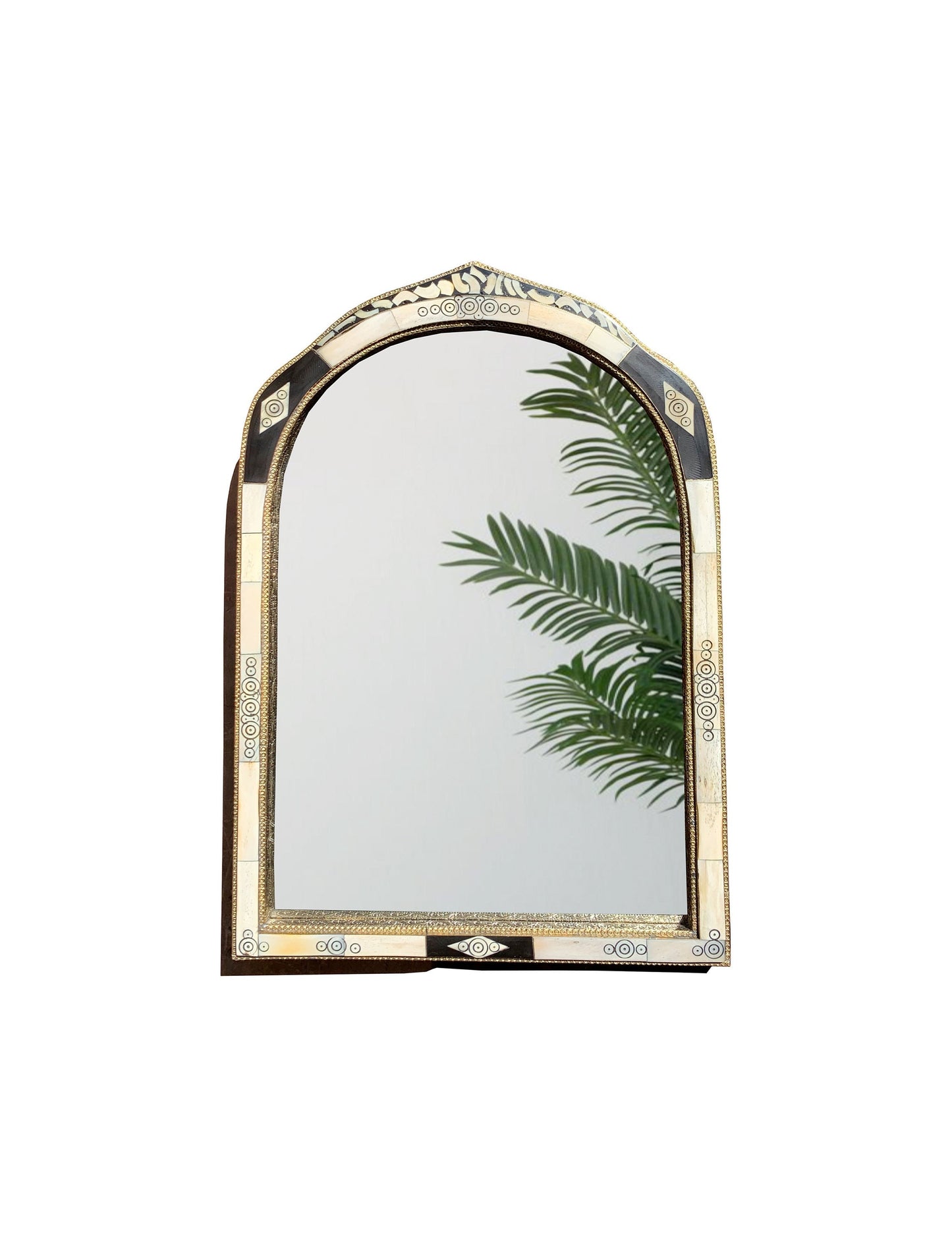 a mirror that has a plant in it