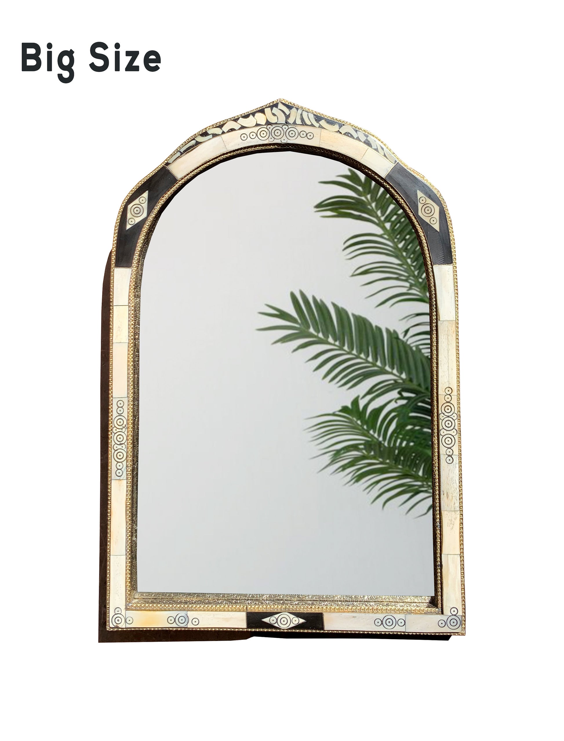 a mirror that has a plant in it