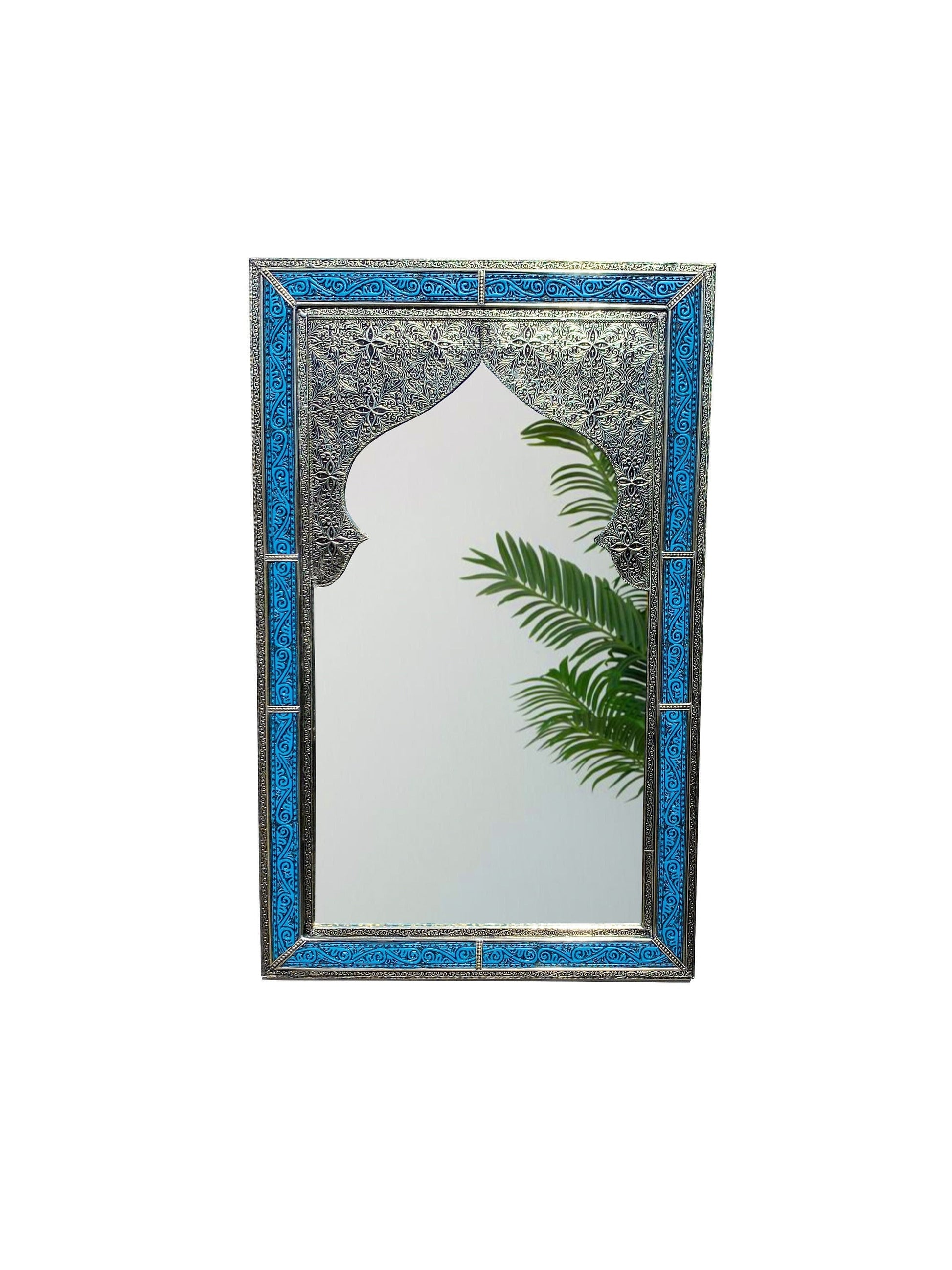 a mirror that has a plant in it