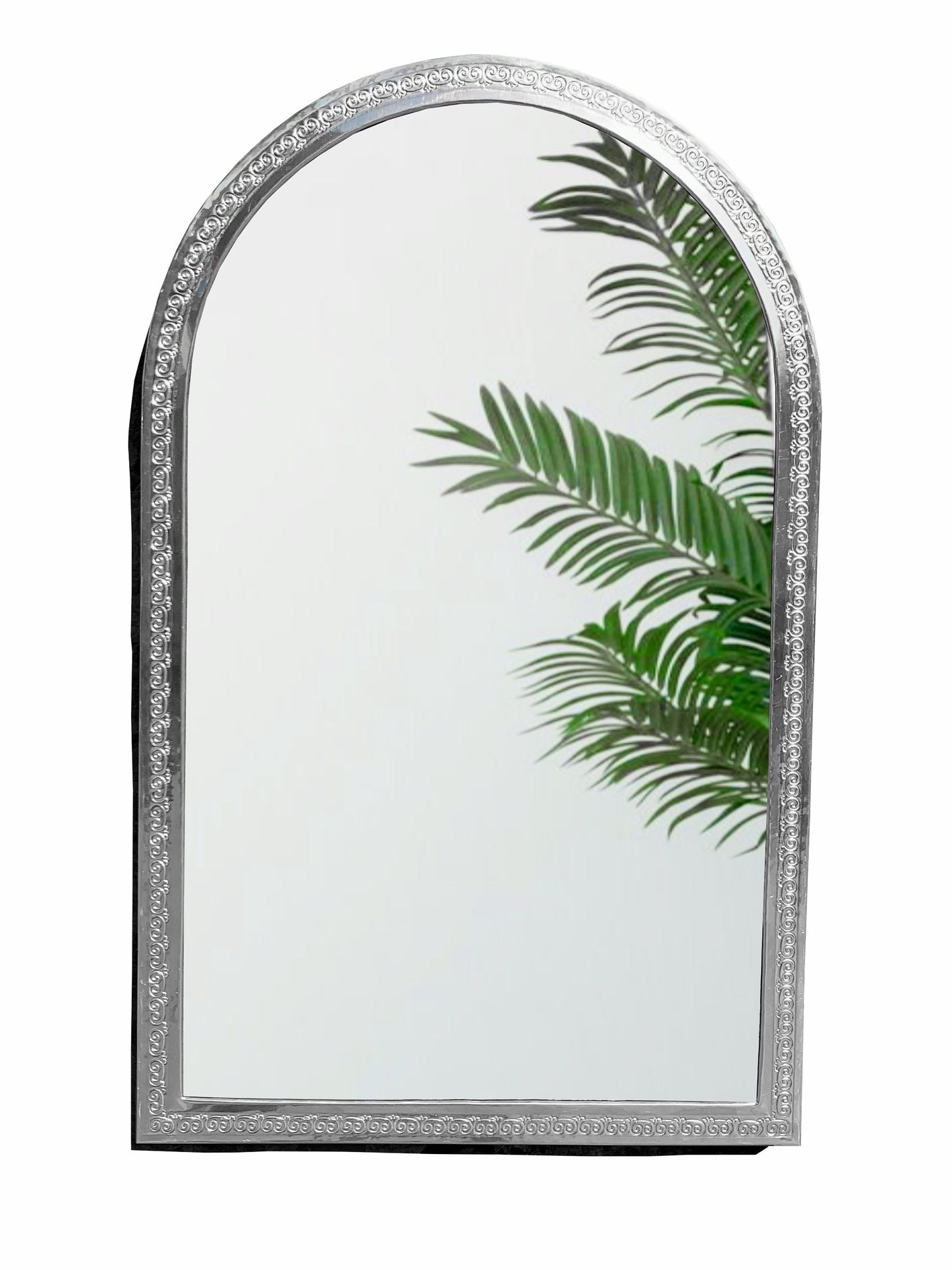 a mirror that has a plant in it