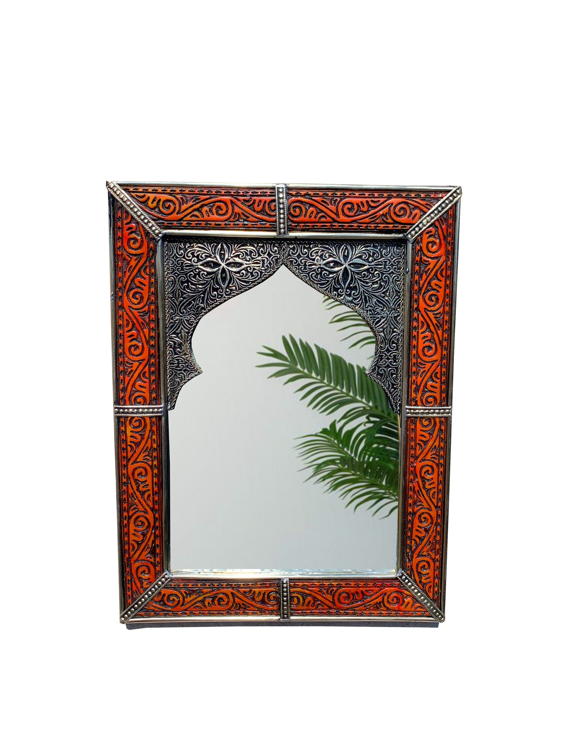 a mirror that has a plant in it