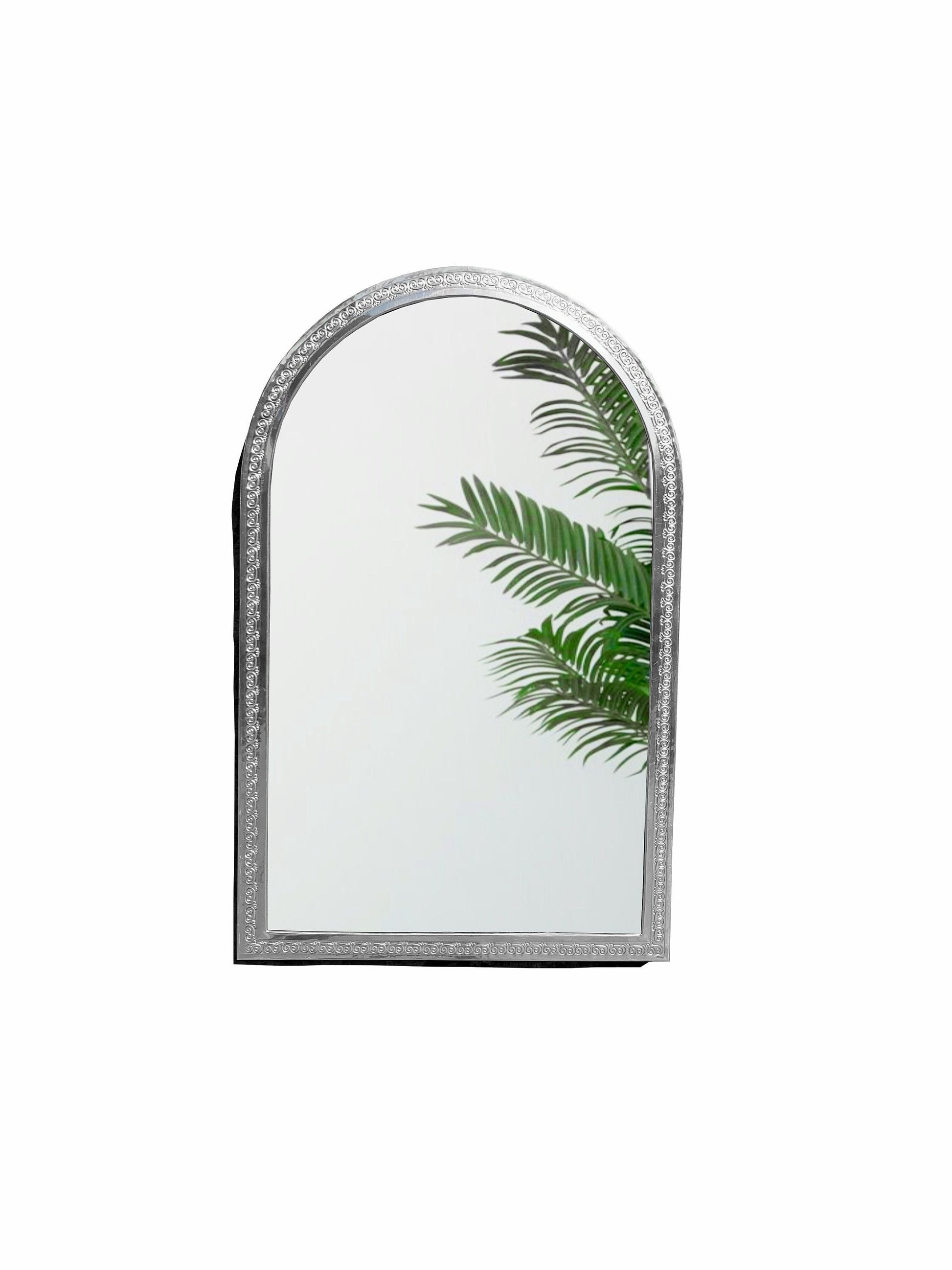 a mirror with a green plant in it