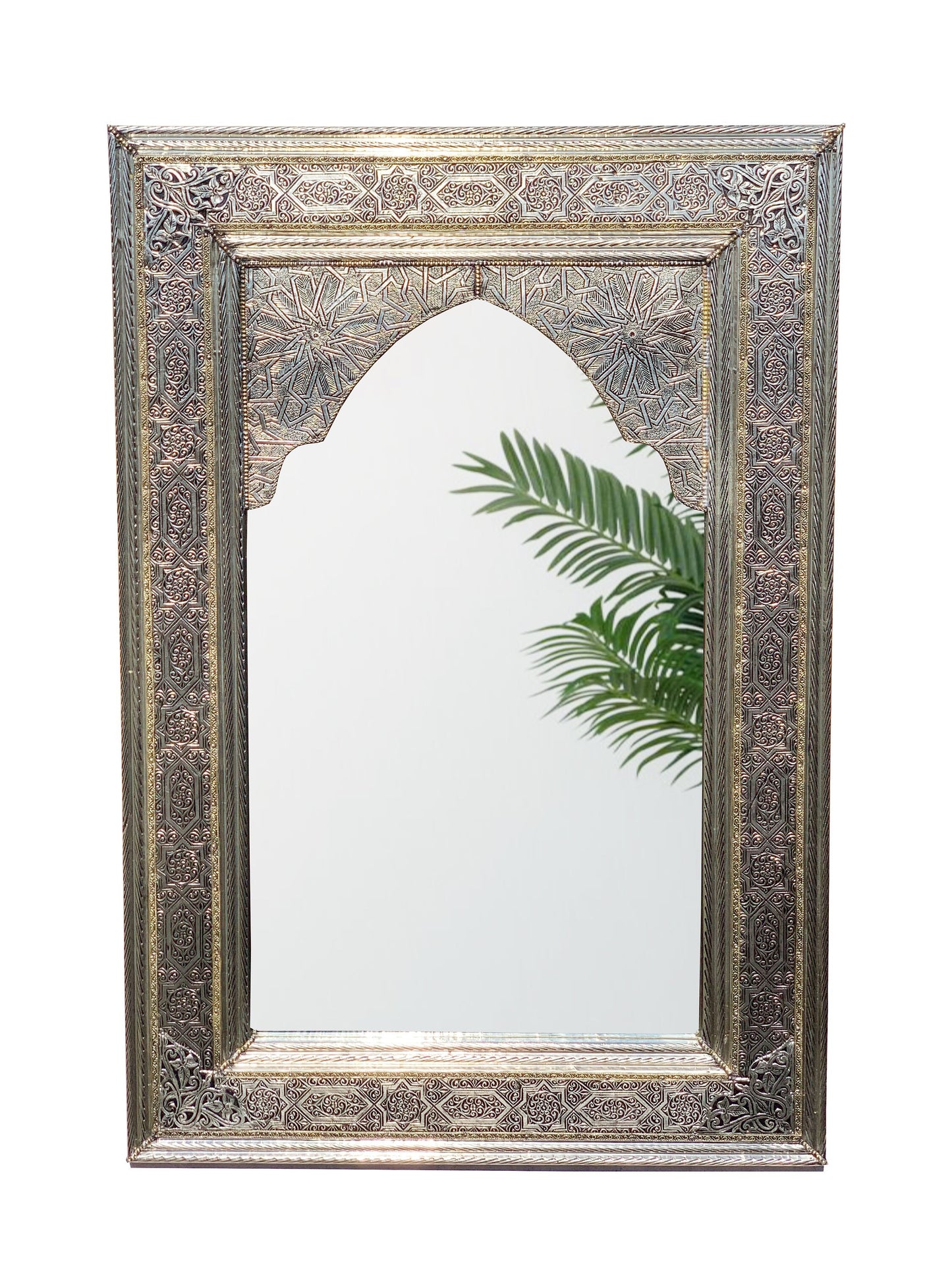 a mirror that has a plant in it