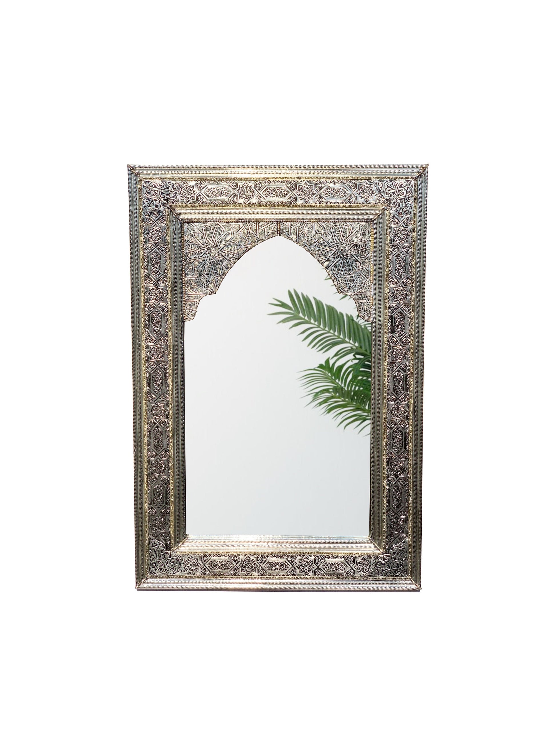 a mirror that has a plant in it