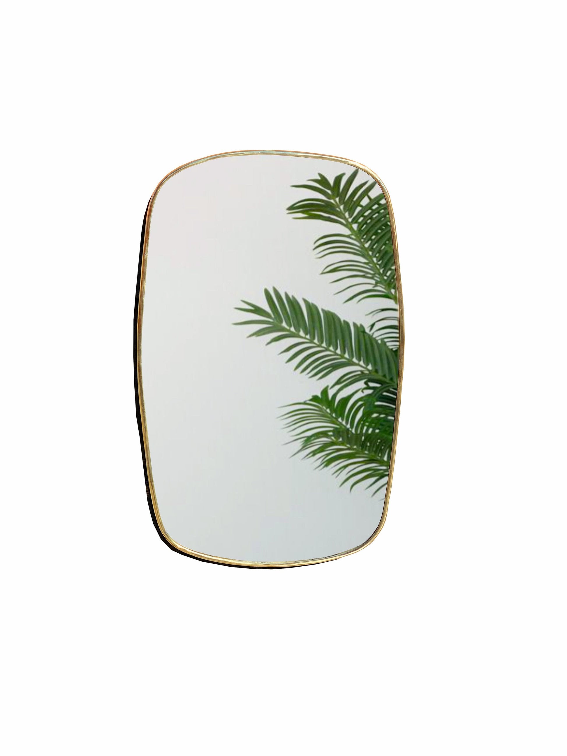 a brass mirror with a green plant on it