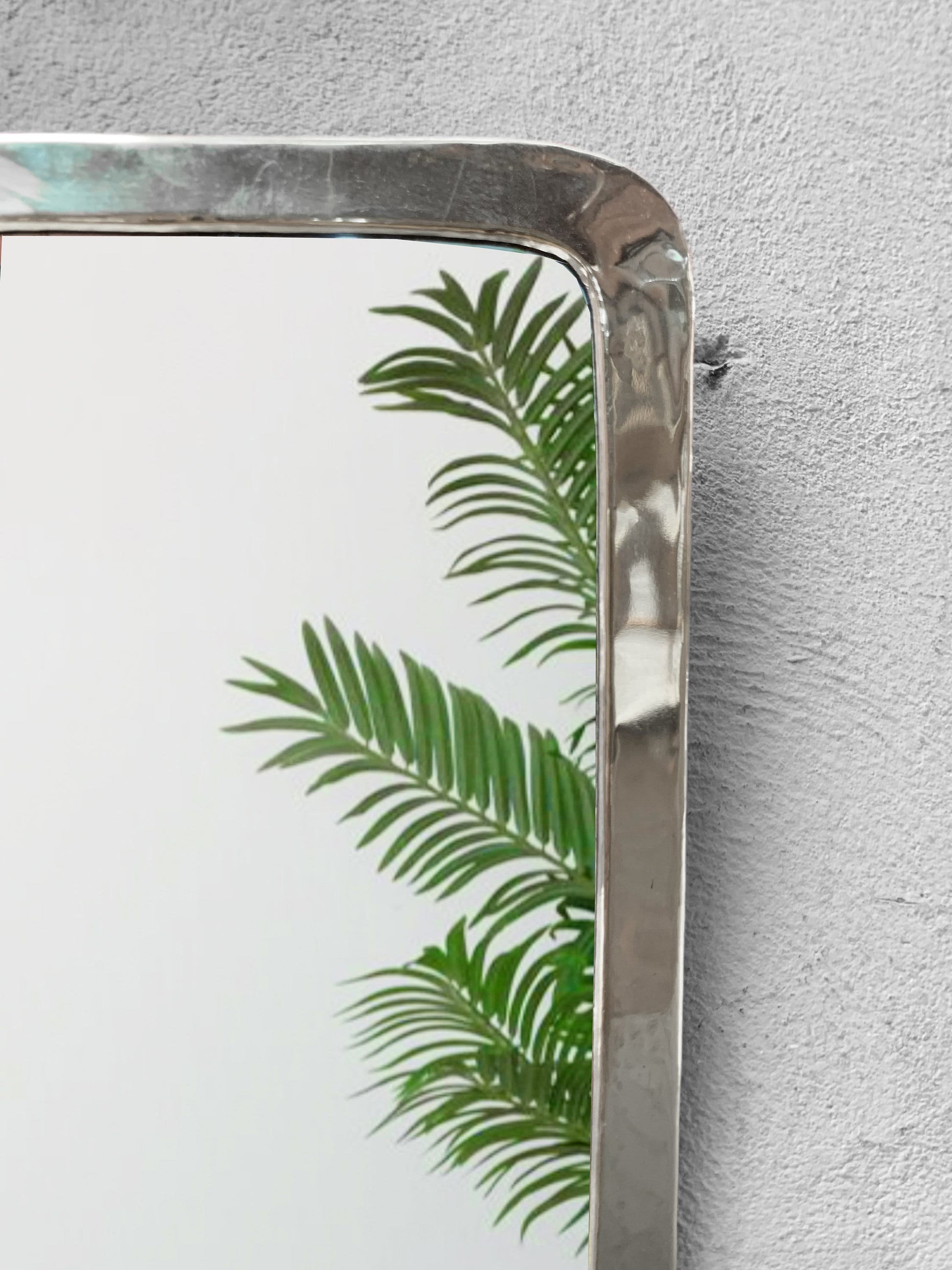 a mirror hanging on a wall with a plant in it