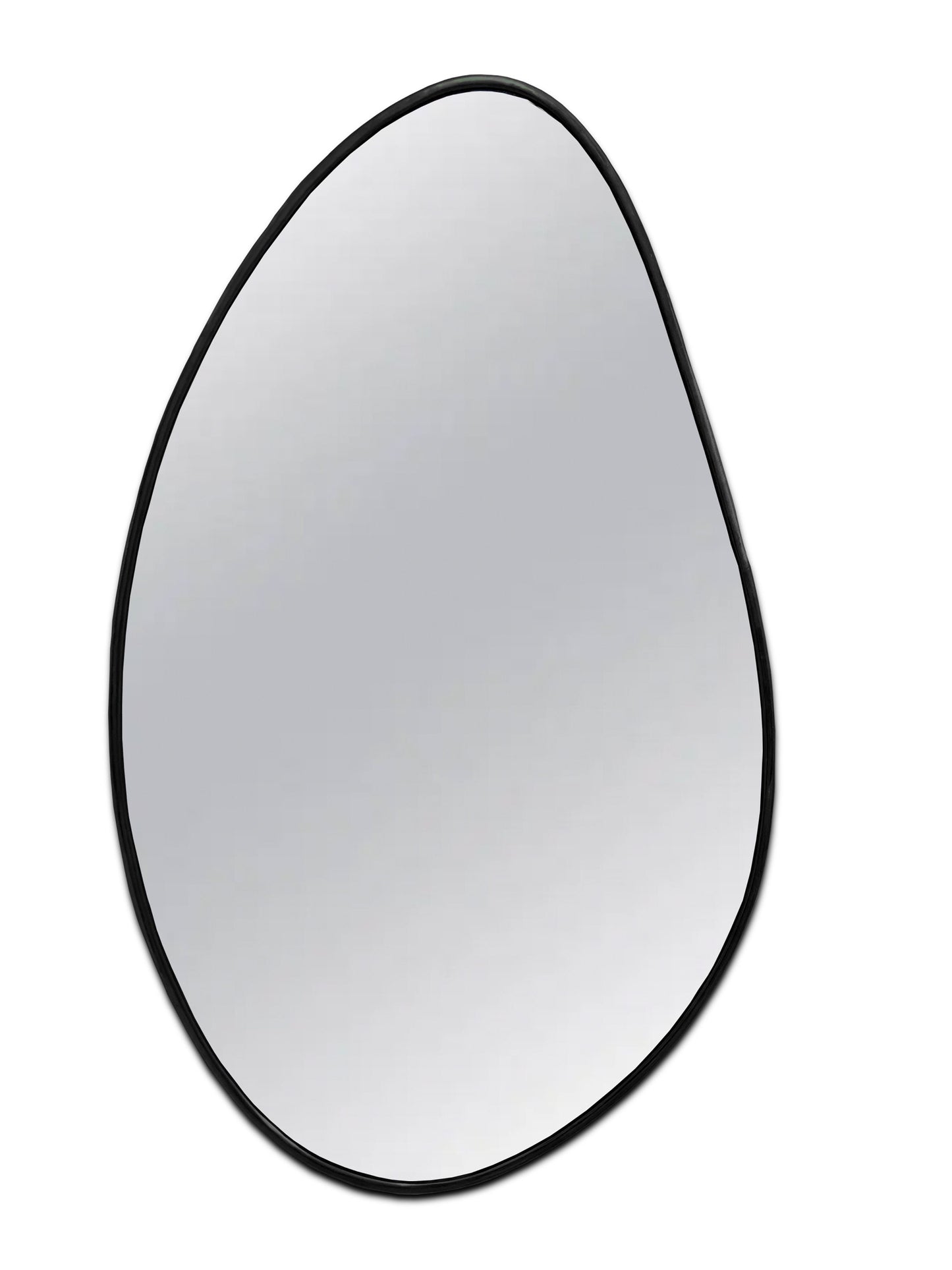 an oval mirror with a black frame on a white background