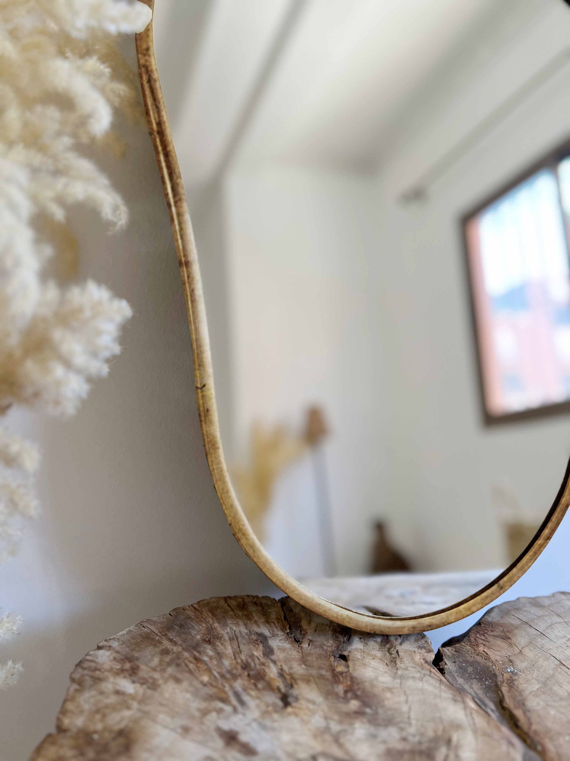 a mirror sitting on top of a tree stump